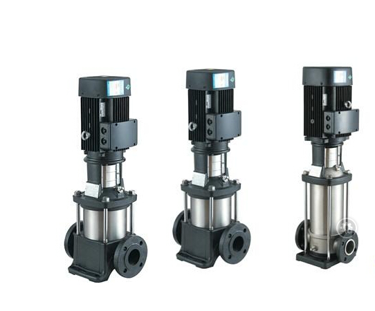 QDL��QDLN8���P䓱�